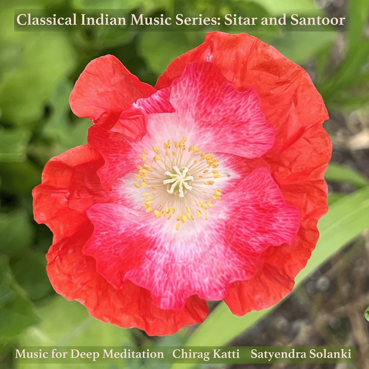 Classical Indian Music Series: Sitar and Santoor by Music for Deep Meditation, Chirag Katti & Satyendra Solanki album cover