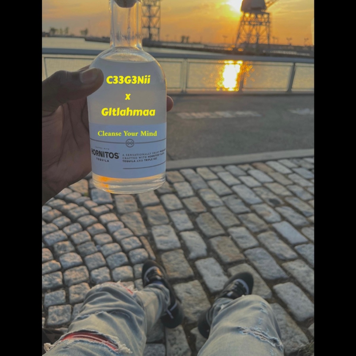 cleanse your mind (feat. Gltlahmaa) - Single by C33G3Nii album cover