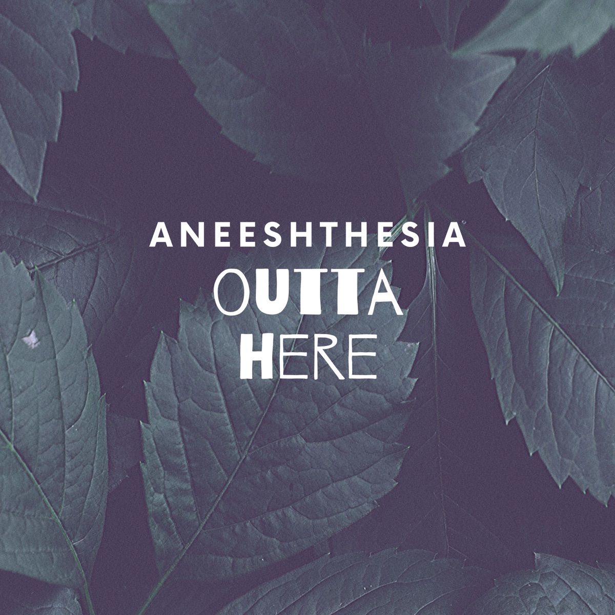 Outta Here - Single by Aneeshthesia album cover