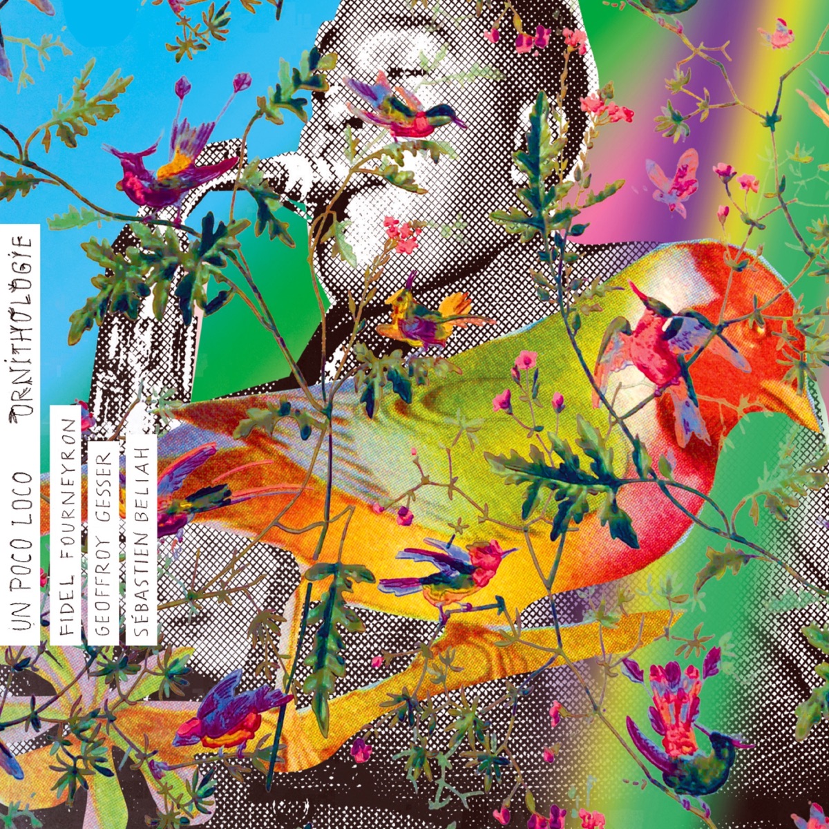Un Poco Loco : Ornithologie (feat. Sebastien Beliah & Geoffroy Gesser) by Fidel Fourneyron album cover