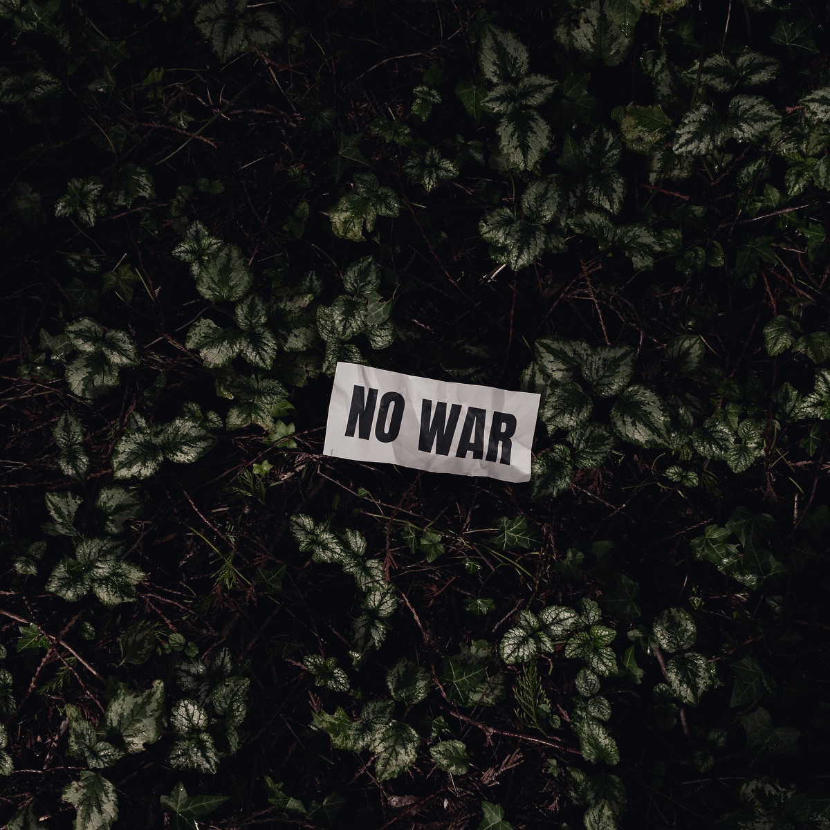Koniec wojny - Single by Mihaszi album cover