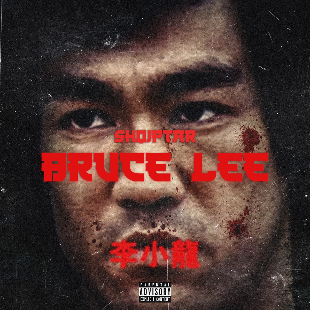 Bruce Lee - Single by Shqiptar album cover