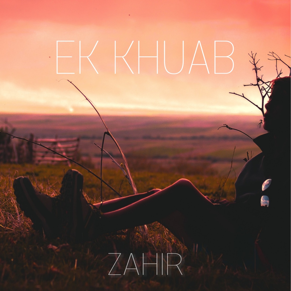Ek Khuab - Single by Zahir Hussain & Sohail album cover