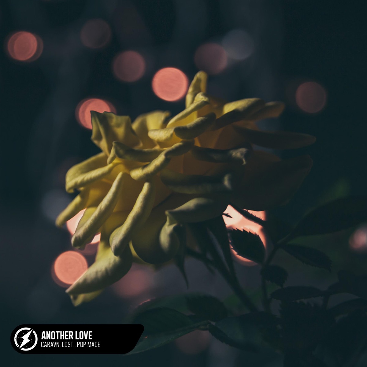 Another Love - Single by caravan, L.O.S.T. & Pop Mage album cover