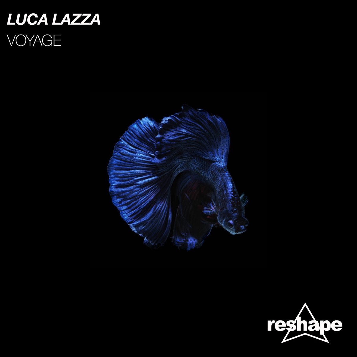 Voyage - Single by Luca Lazza album cover