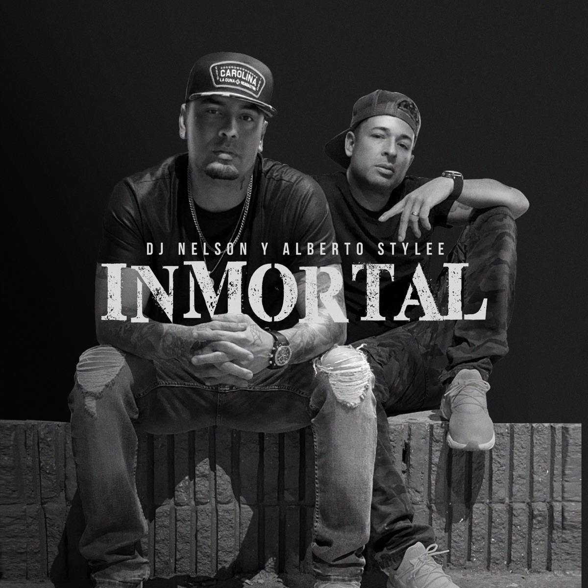 Inmortal by Alberto Stylee & DJ Nelson album cover