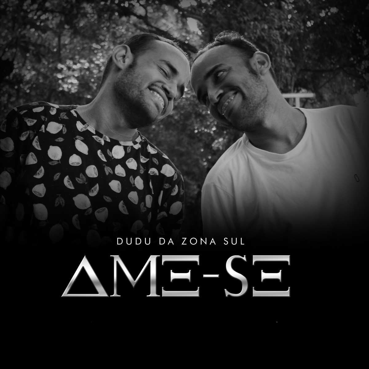 Ame-Se - Single by Dudu da Zona Sul album cover