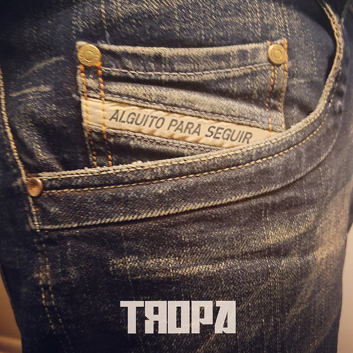 Alguito para Seguir - Single by Tropa album cover