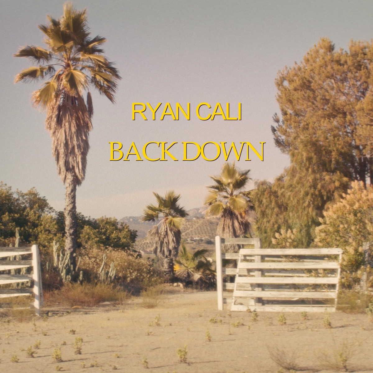 Back Down - Single by Ryan Cali album cover