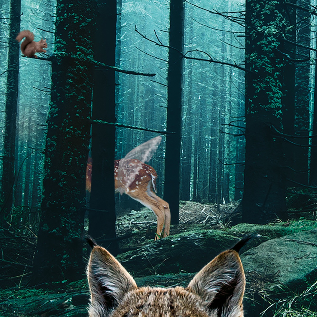 The Lynx, The Fawn, The Squirrel - Single by Per Störby Jutbring & Malva Quartet album cover