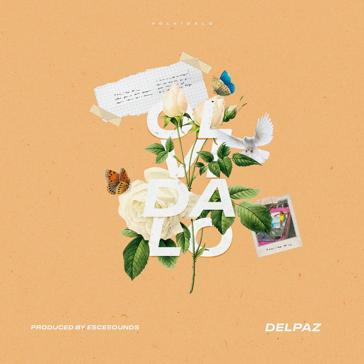 Olvídalo - Single by Delpaz album cover