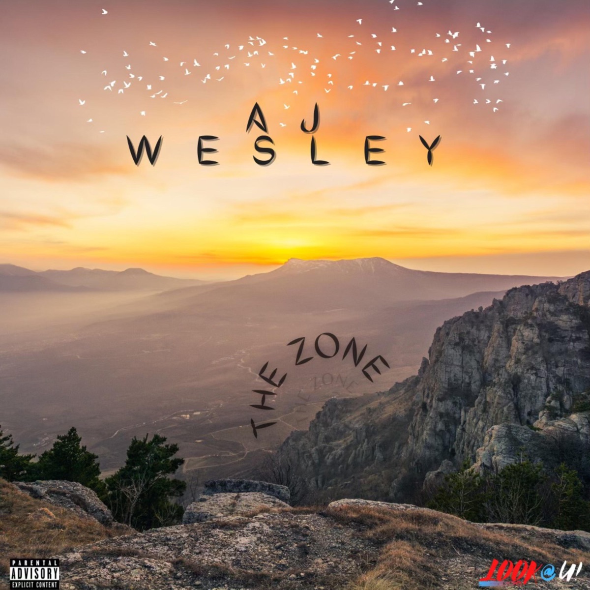 The Zone - Single by AJ Wesley album cover