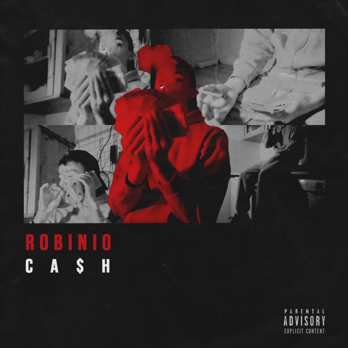 Cash - Single by RobinIO album cover