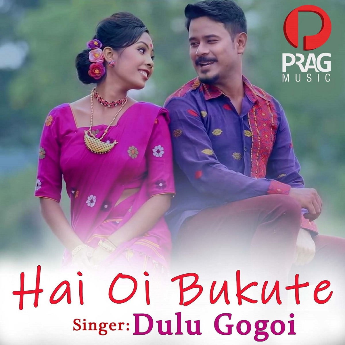 Hai Oi Bukute - Single by Dulu Gogoi album cover