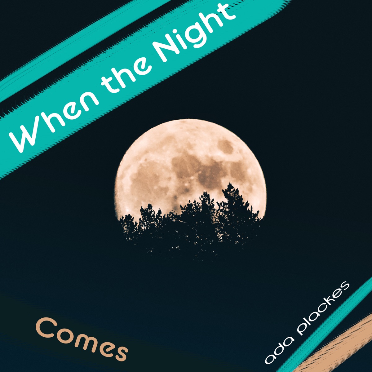When the Night Comes by Ada Plackes album cover