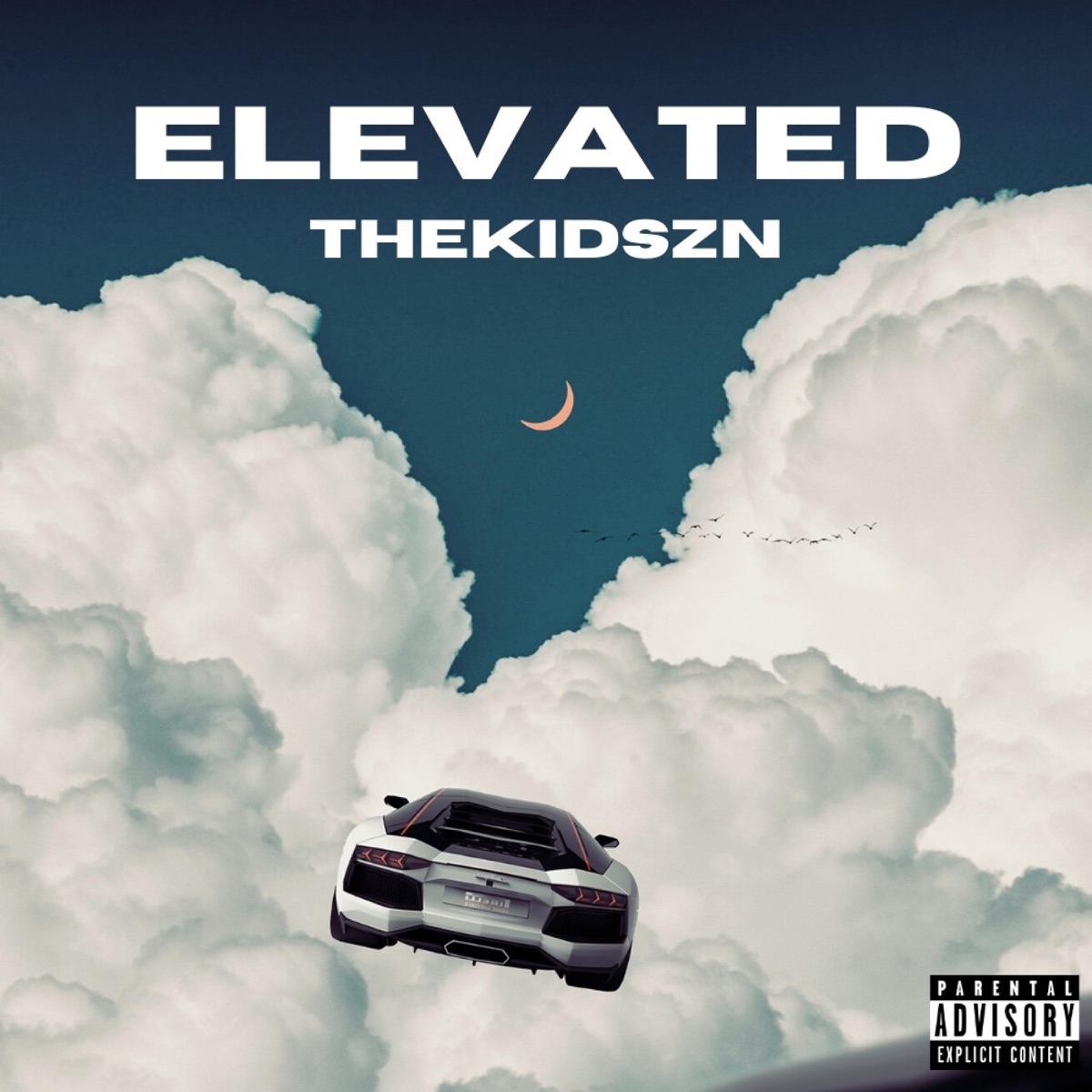 Elevated - EP by Thekidszn album cover