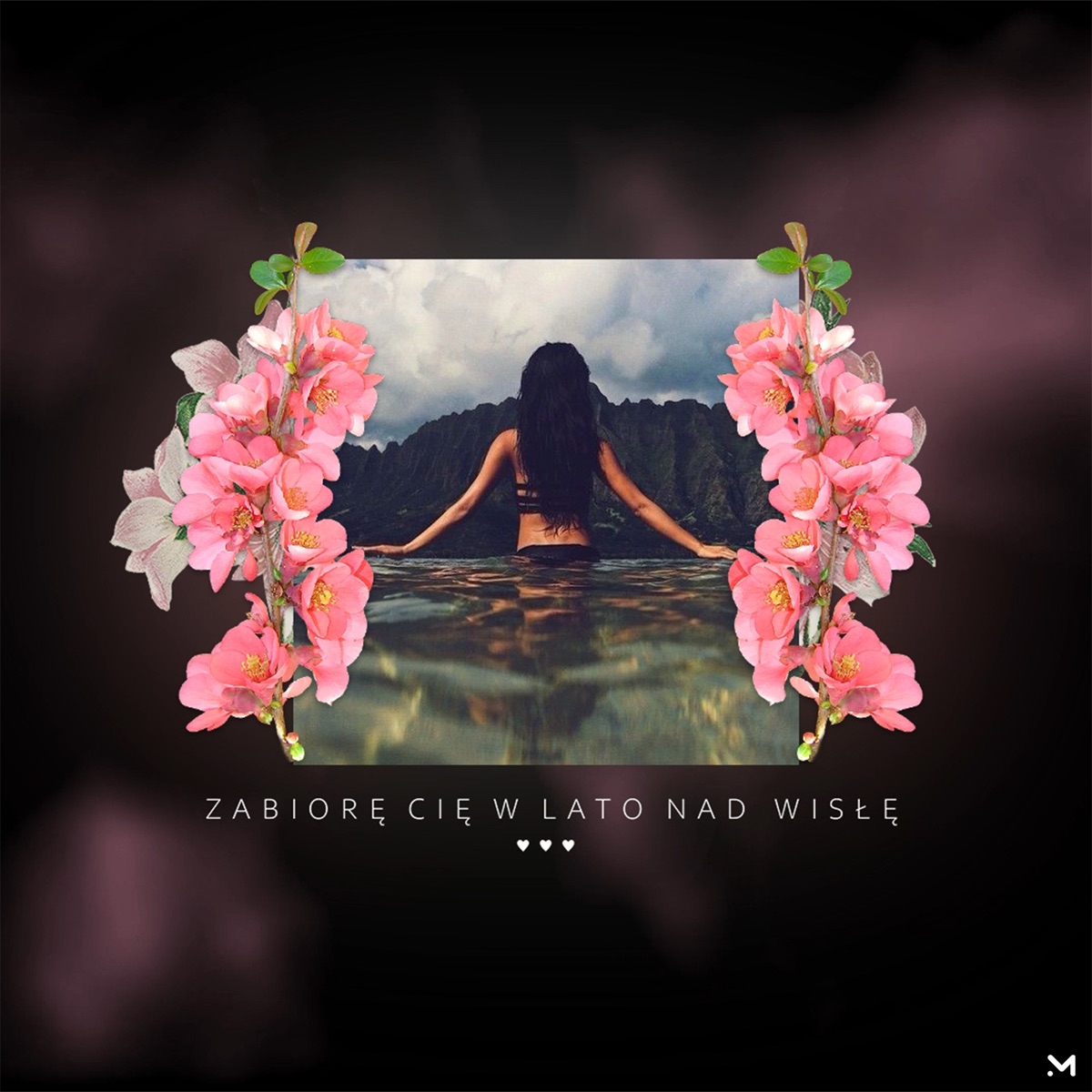 Zabiorę Cię w lato nad Wisłę - Single by Dumle album cover
