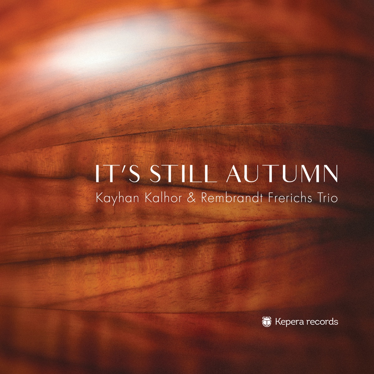 It's Still Autumn by Kayhan Kalhor & Rembrandt Frerichs Trio album cover