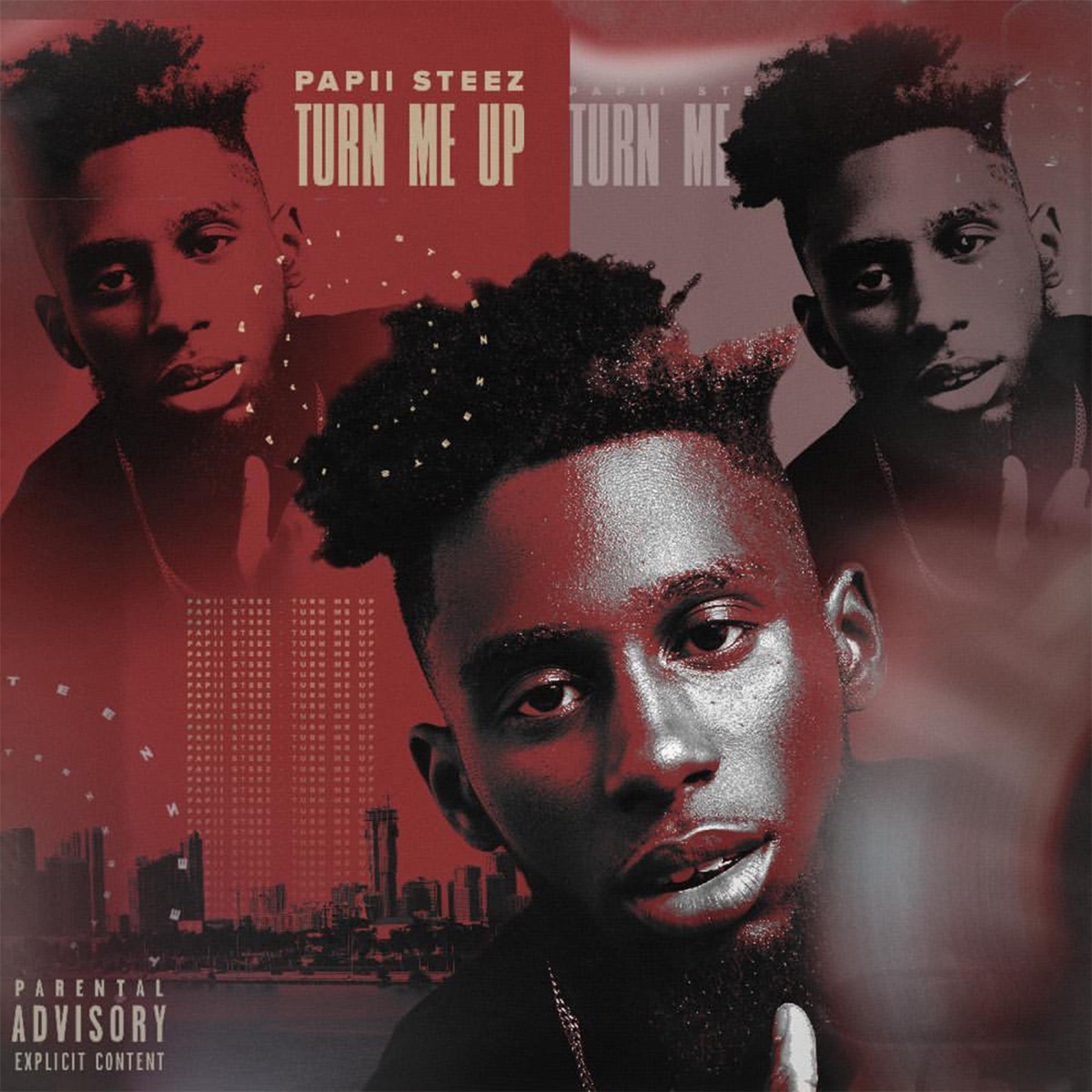 Turn Me Up - Single by Papii Steez album cover
