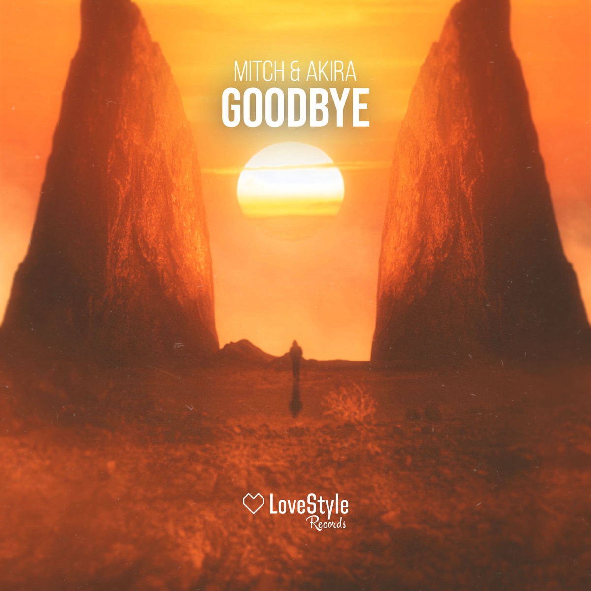 Goodbye - Single by Mitch & Akira Br album cover