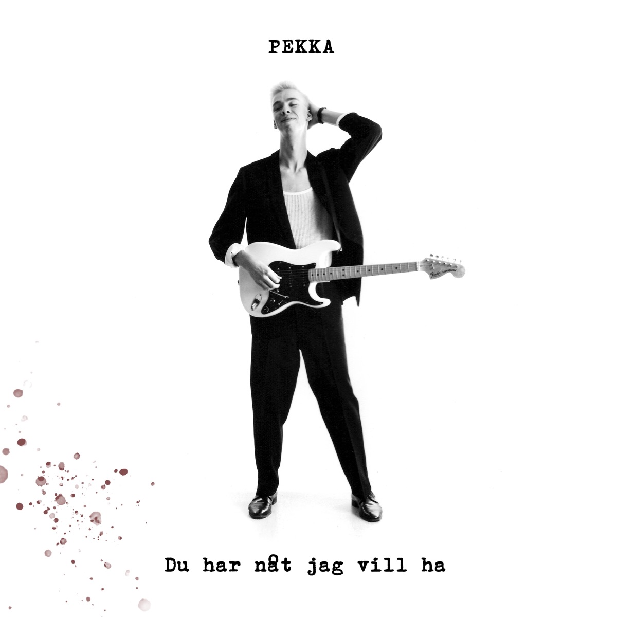 Du har nåt jag vill ha - Single by Pekka album cover