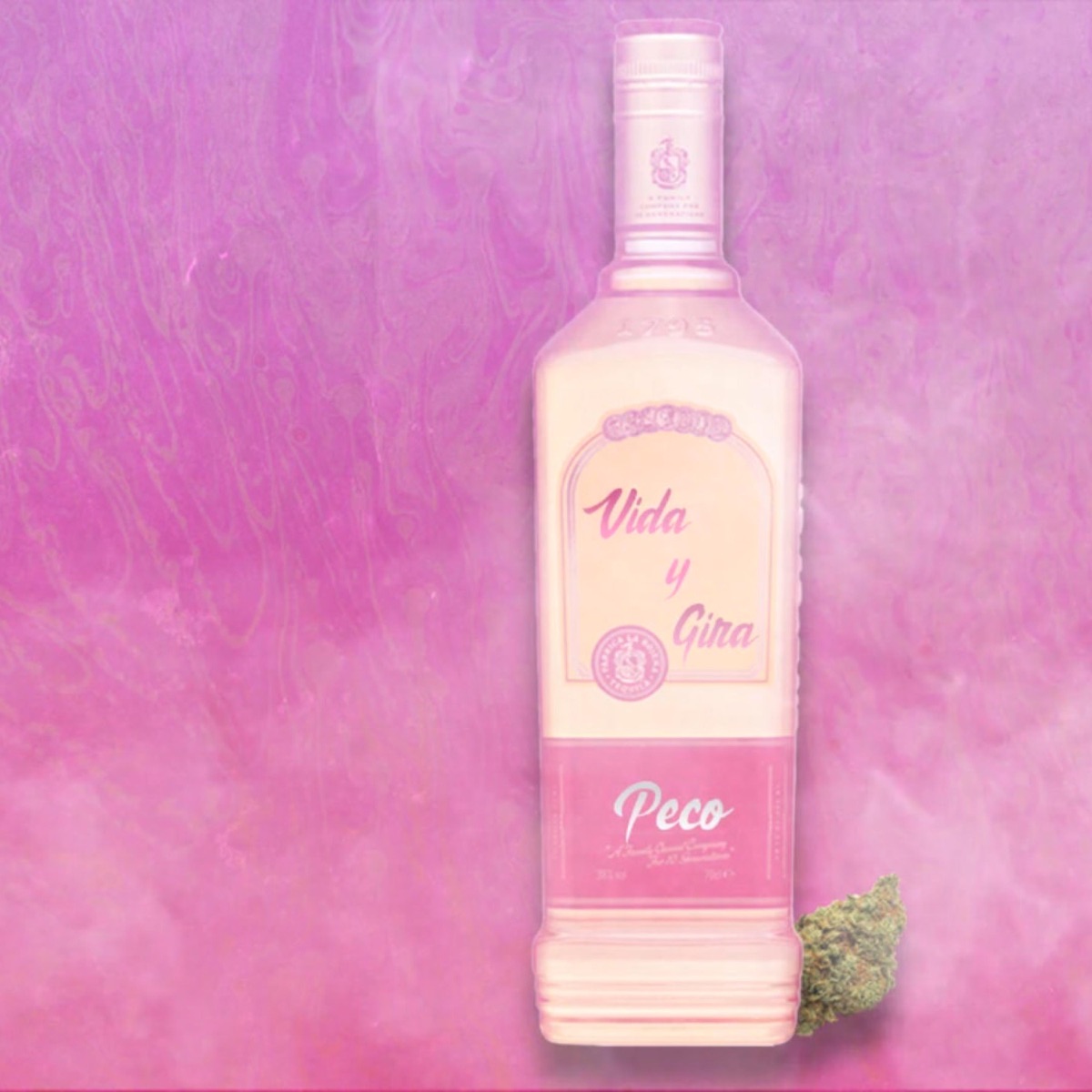 Vida y Gira - Single by Peco album cover