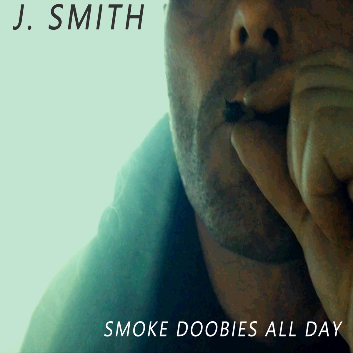 Smoke Doobies All Day - Single by J. Smith album cover