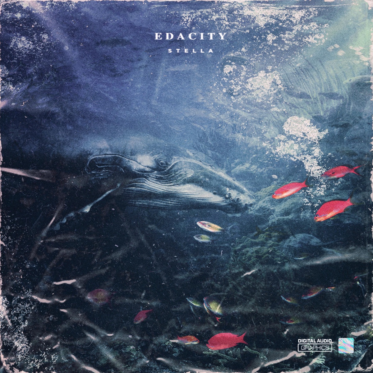 stella by Edacity album cover