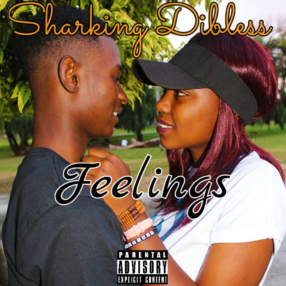 Feelings - Single by Sharking Dibless album cover