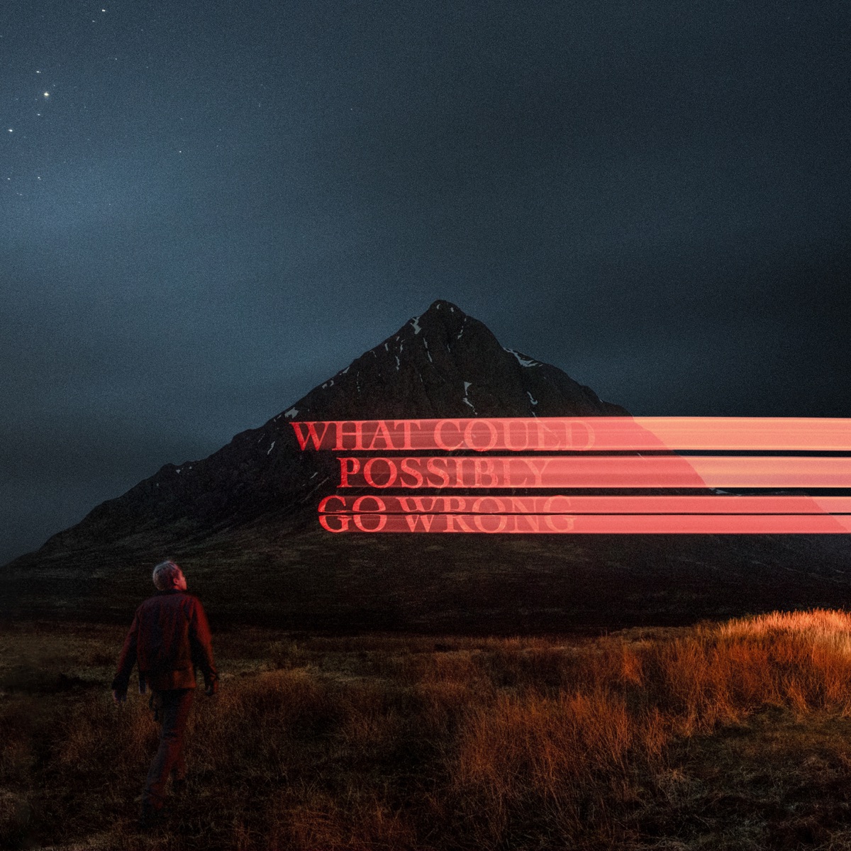 What Could Possibly Go Wrong by Dominic Fike album cover