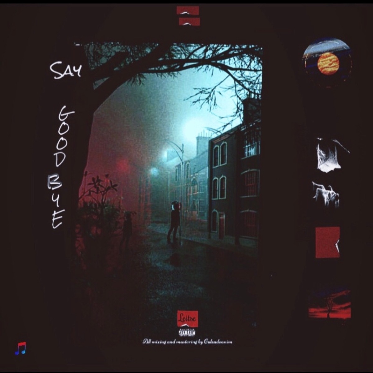 Say Goodbye - EP by Leitse album cover