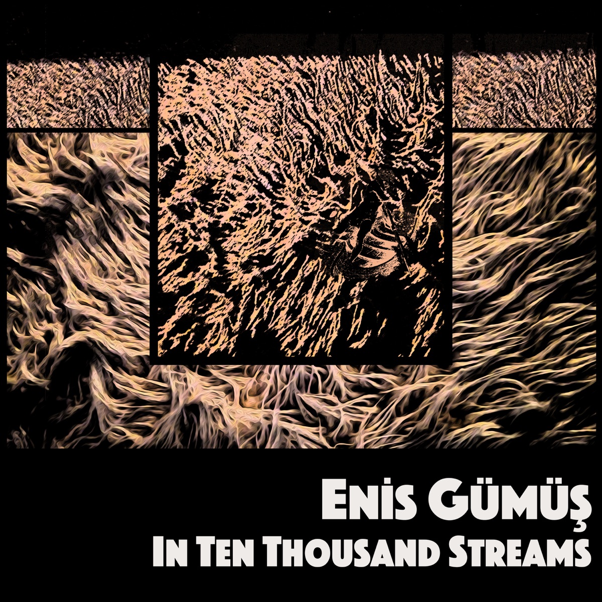 In Ten Thousand Streams by Enis Gümüş, Nieuw Ensemble, Hezarfen Ensemble, Asko/Schönberg, Nederlands Blazers Ensemble & Ensemble Garage album cover