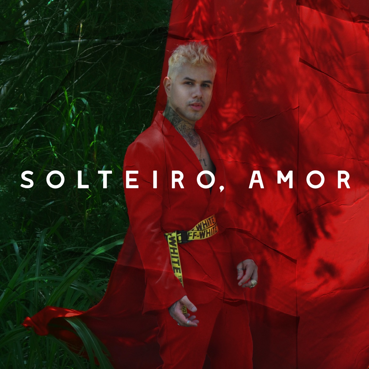 Solteiro, Amor - Single by Max album cover