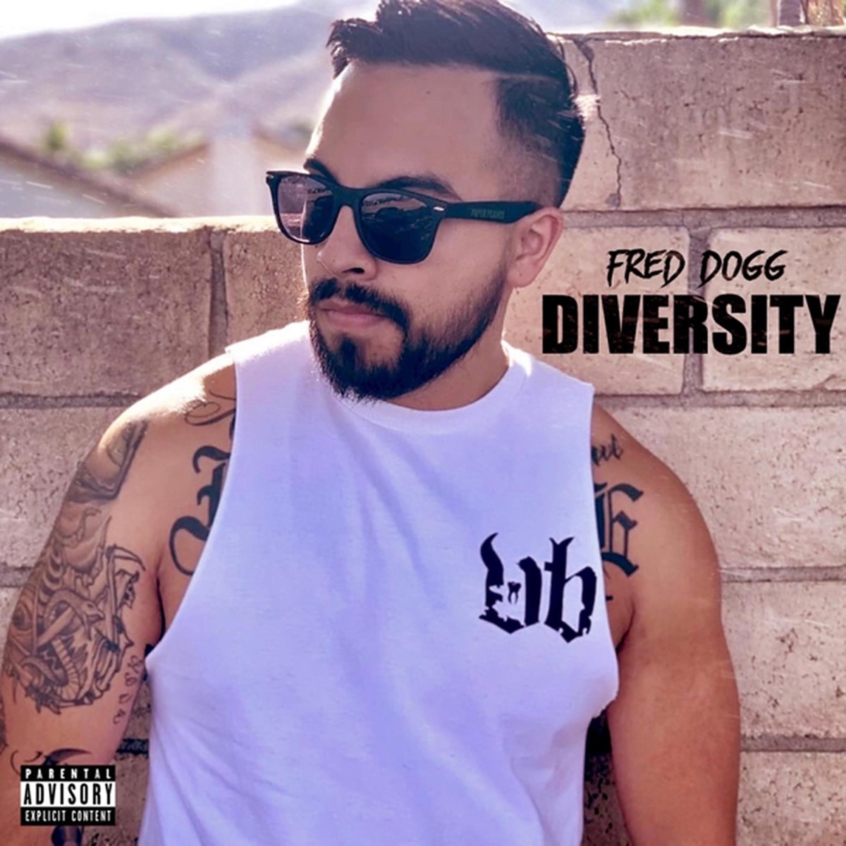 Diversity by Fred Dogg album cover