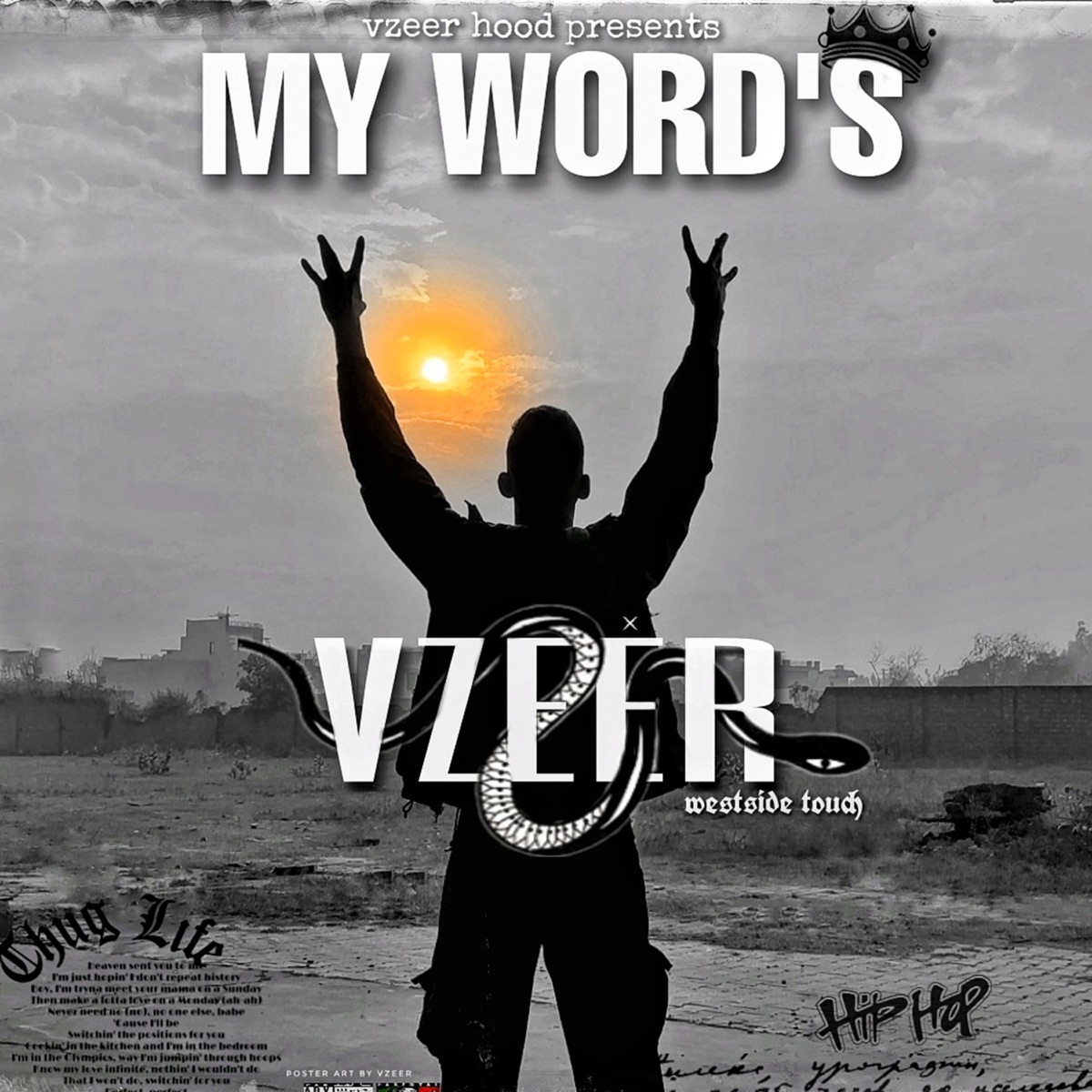 My Words - Single by Vzeer album cover