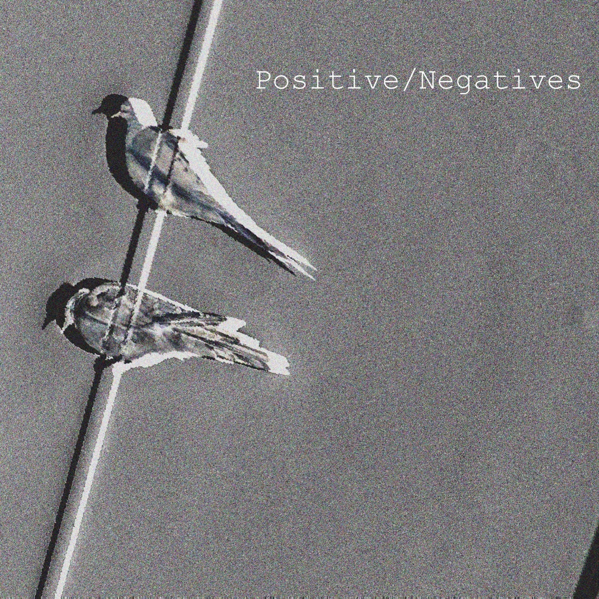 Positive/Negatives by Prophit album cover