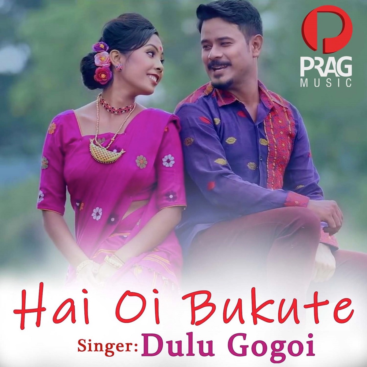 Hai Oi Bukute - Single by Dulu Gogoi album cover