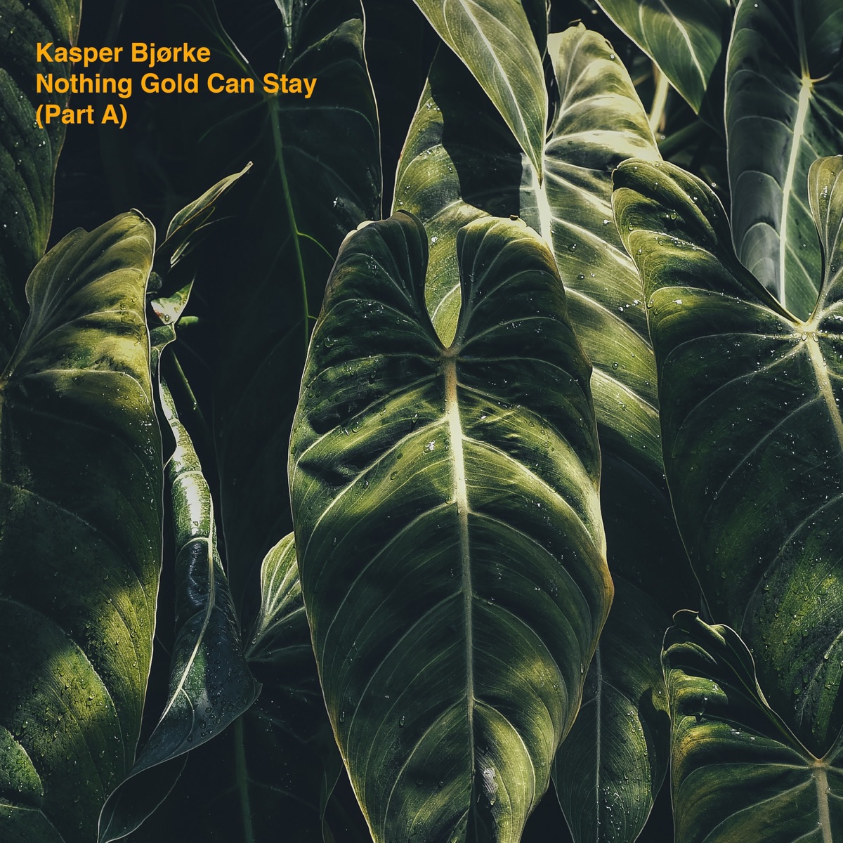 Nothing Gold Can Stay (Part A) - EP by Kasper Bjørke album cover