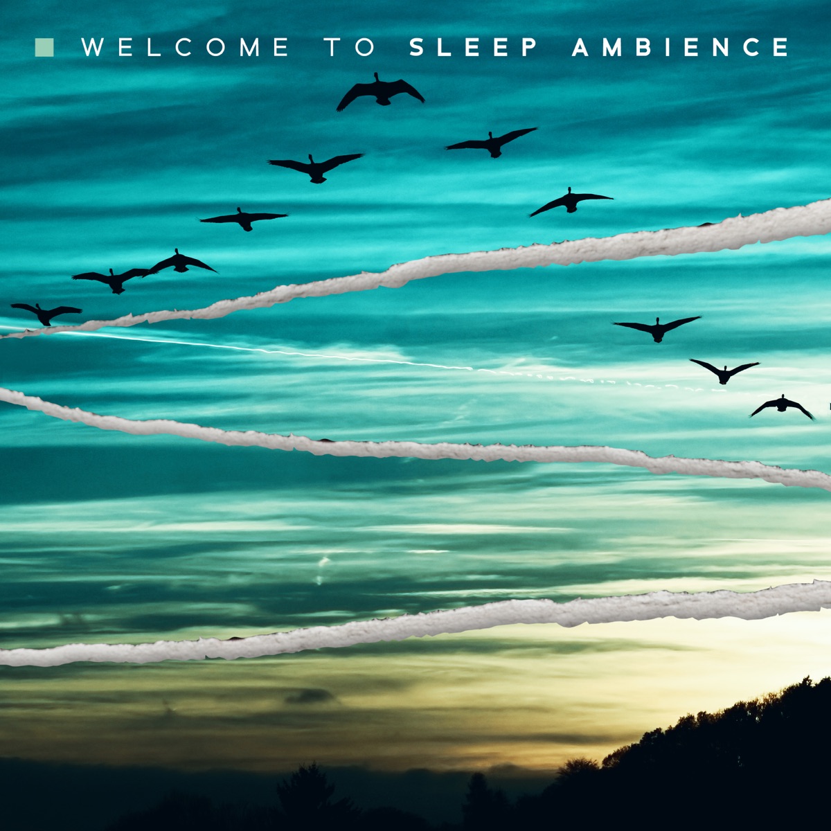 Welcome to Sleep Ambience by Lucy Moon & Victoria Dreams album cover