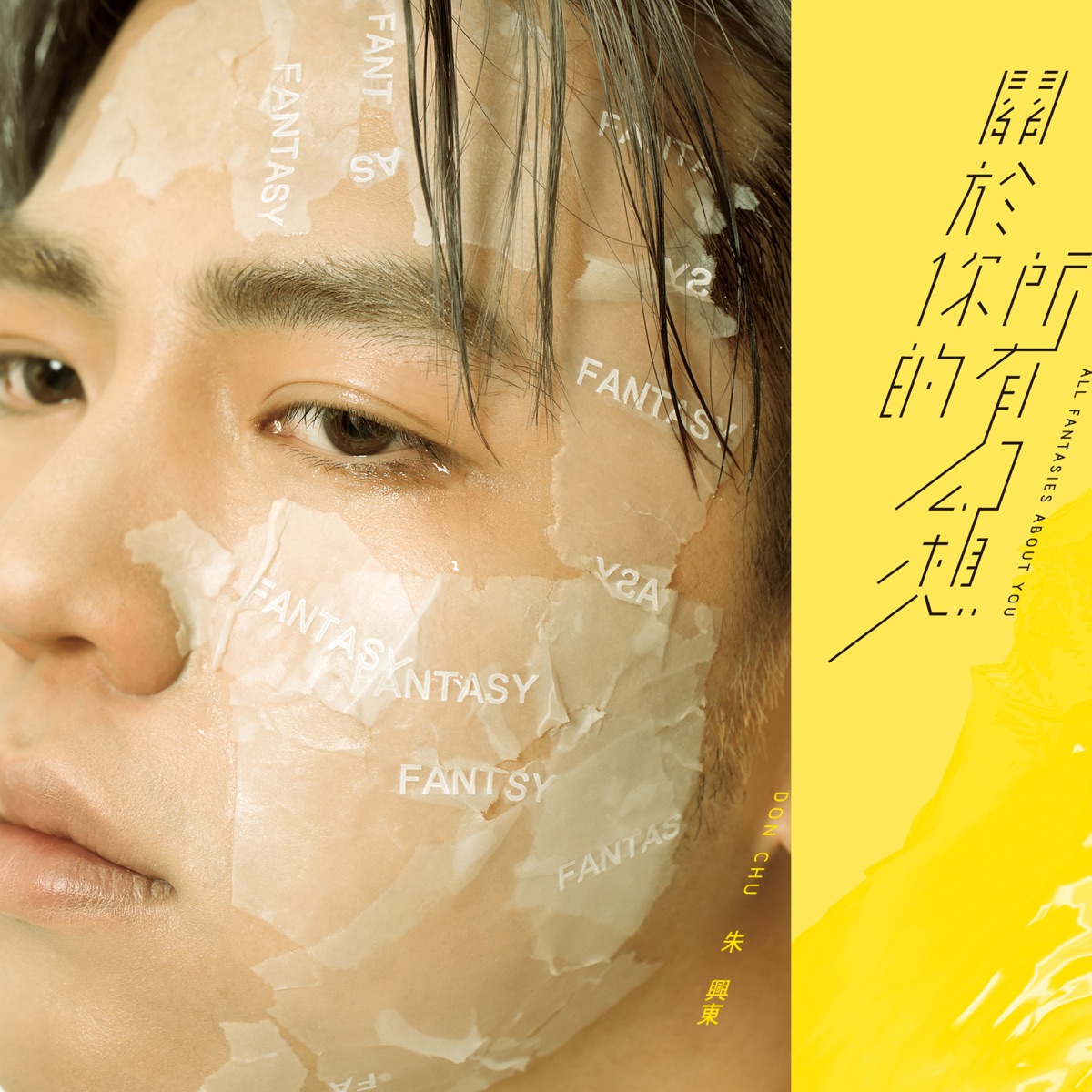 關於你的所有幻想 by Don Chu album cover