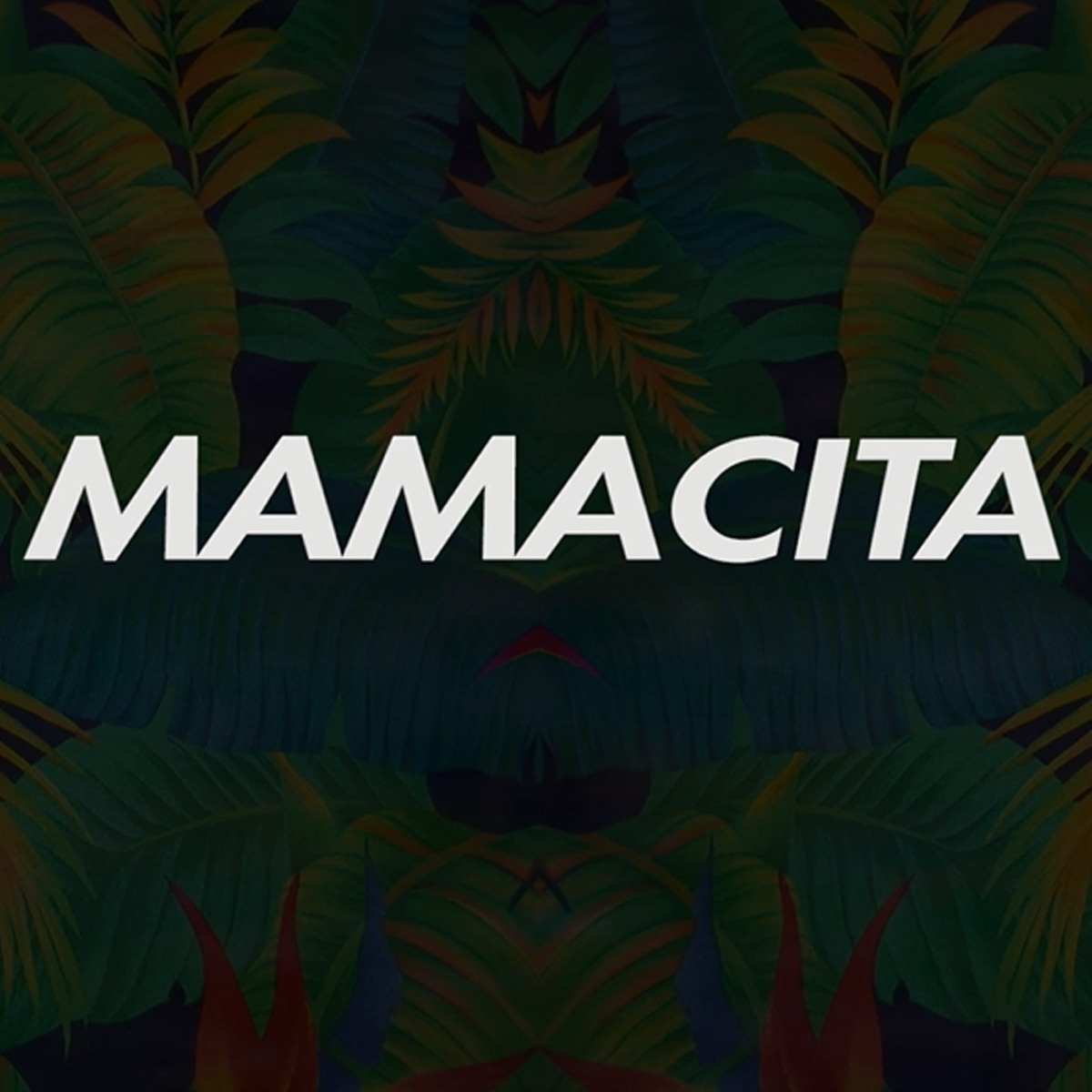 Mamacita (feat. Pl4no & Nandi) - Single by Ninas Lima album cover