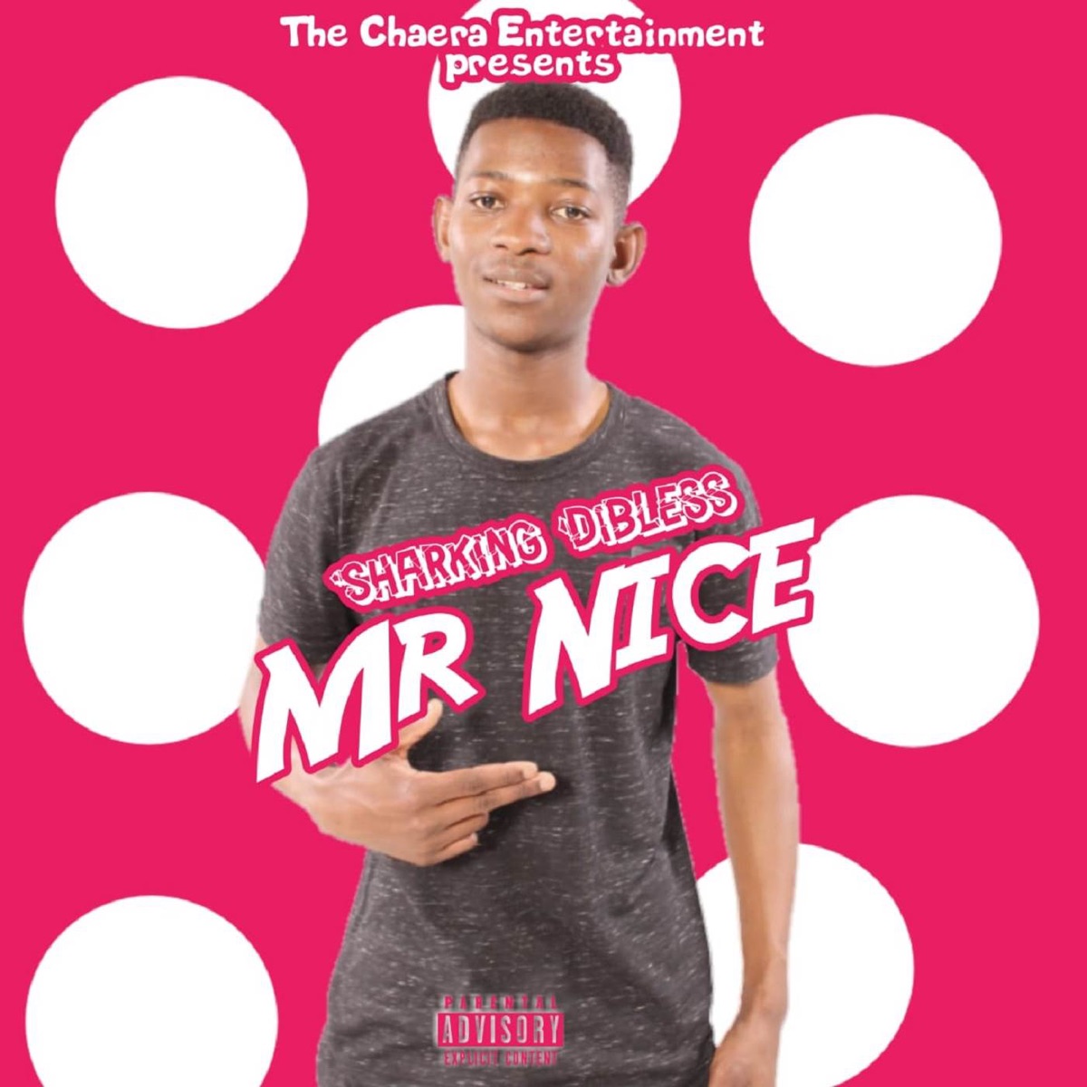 Mr Nice - Single by Sharking Dibless album cover