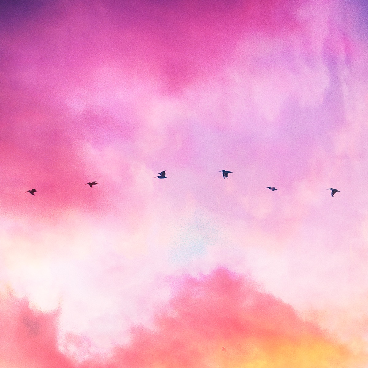 Lilac Sky - Single by Azido 88 & Tanshuai album cover
