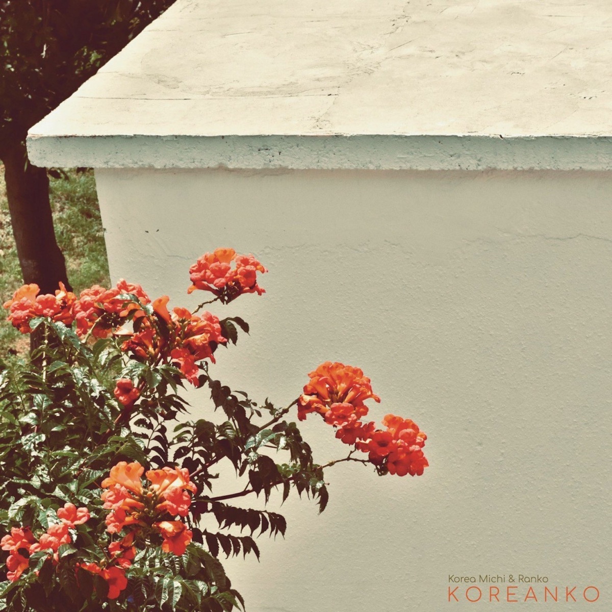 Koreanko by Korea Michi & Ranko album cover
