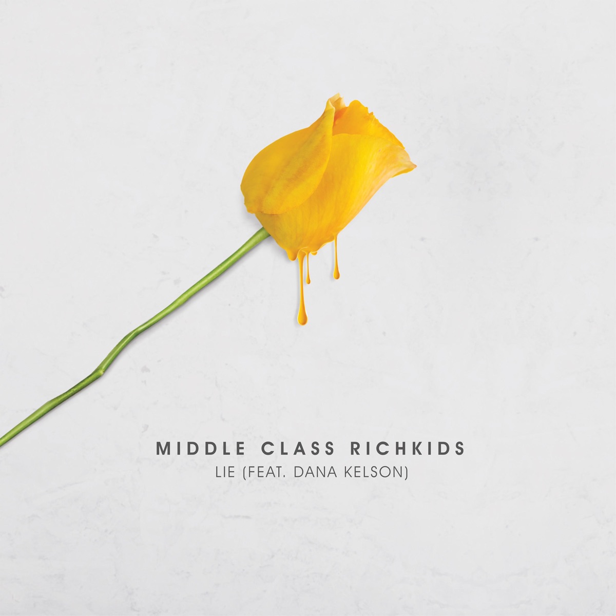 Lie (feat. Dana Kelson) - Single by Middle Class Richkids album cover
