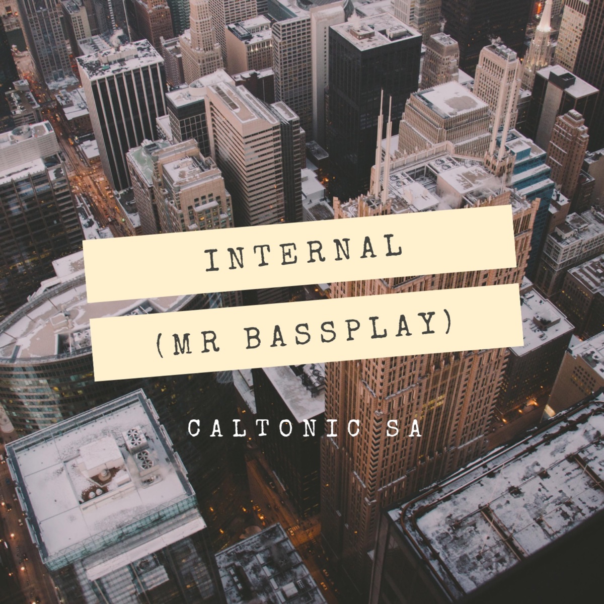 Internal (Mr Bassplay) - Single by Caltonic SA album cover