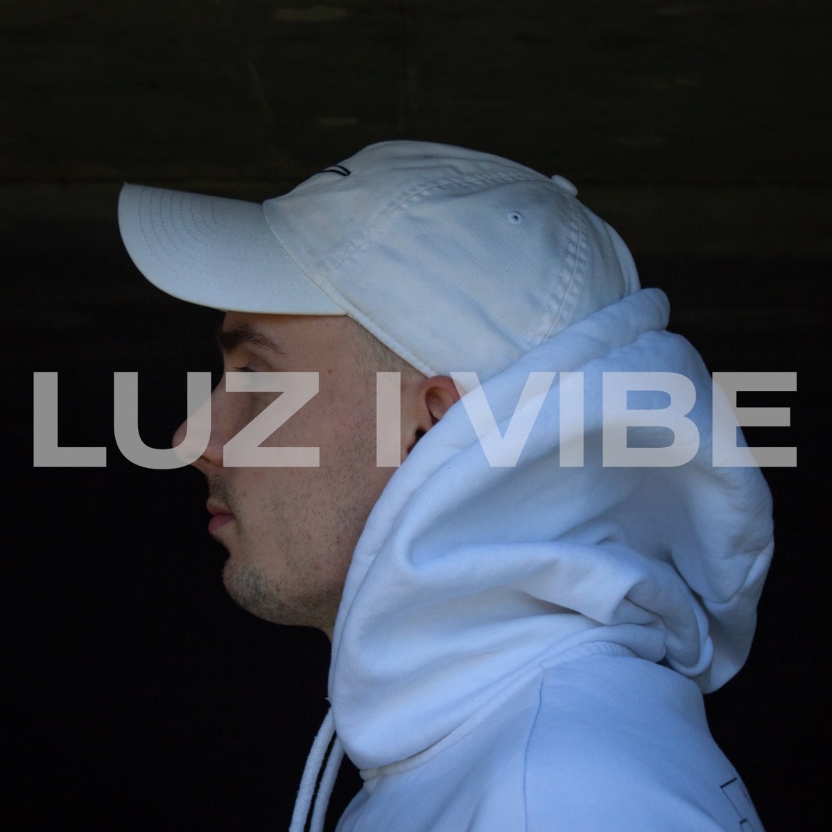 Luz i vibe - Single by Smagi album cover