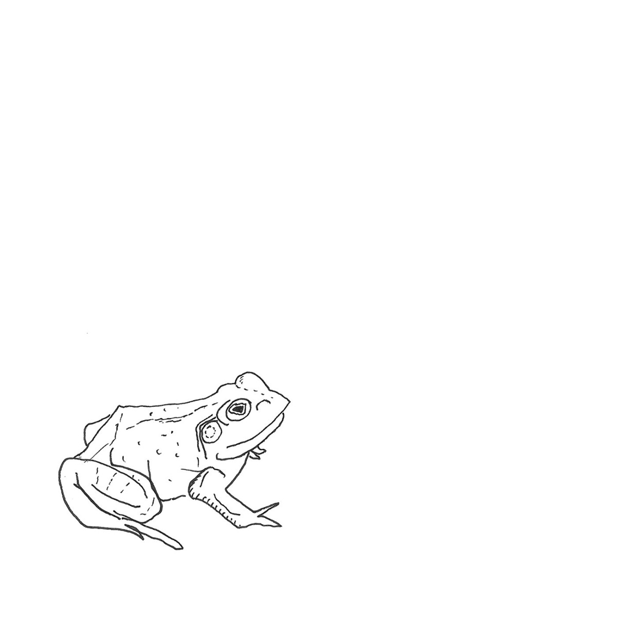 Bull Frogs Croon (and Other Songs) - EP by Aoife O'Donovan & Jeremy Kittel album cover
