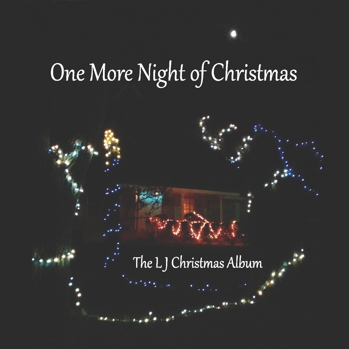 One More Night of Christmas: The LJ Christmas Album by LJ album cover