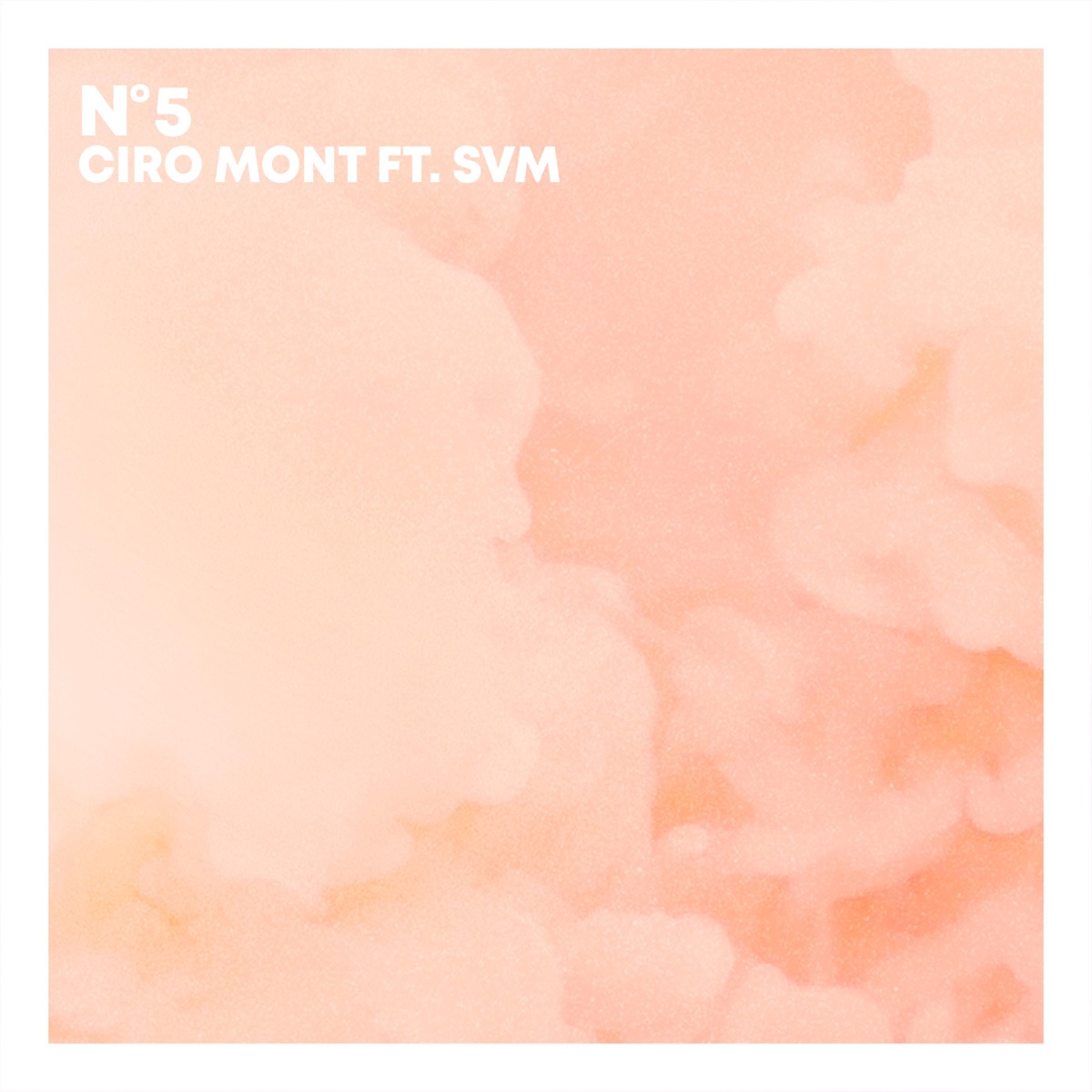 N°5 (feat. SVM) - Single by Ciro Mont album cover